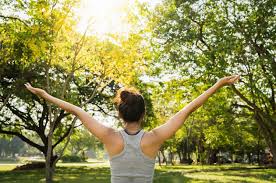 "Bukan Sekadar Pump Otot, Tapi 'Regulasi Sistem Saraf'": Bagaimana Tren Neurowellness 2026 Mengubah Gym Menjadi Tempat Healing Juga